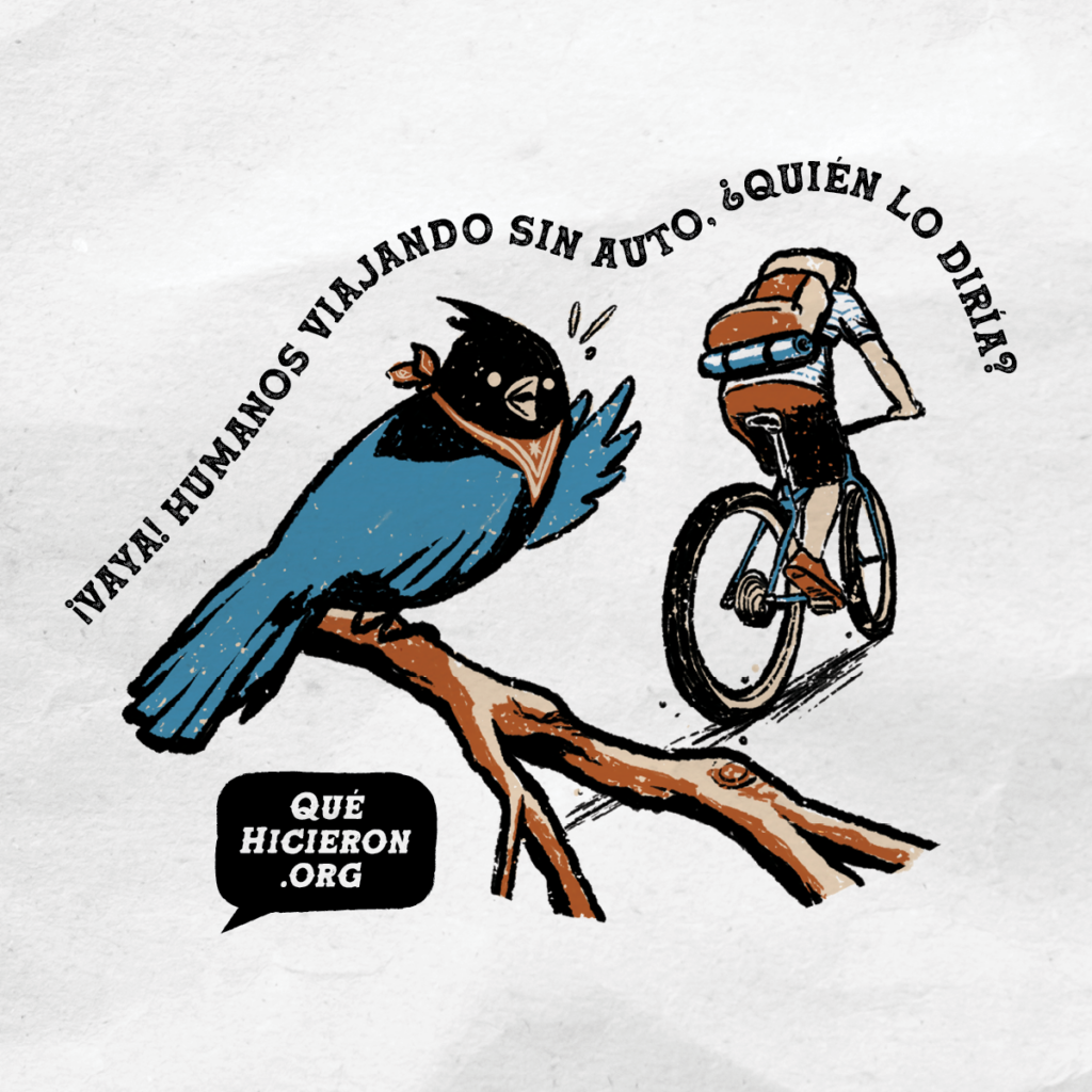 Dar un paseo