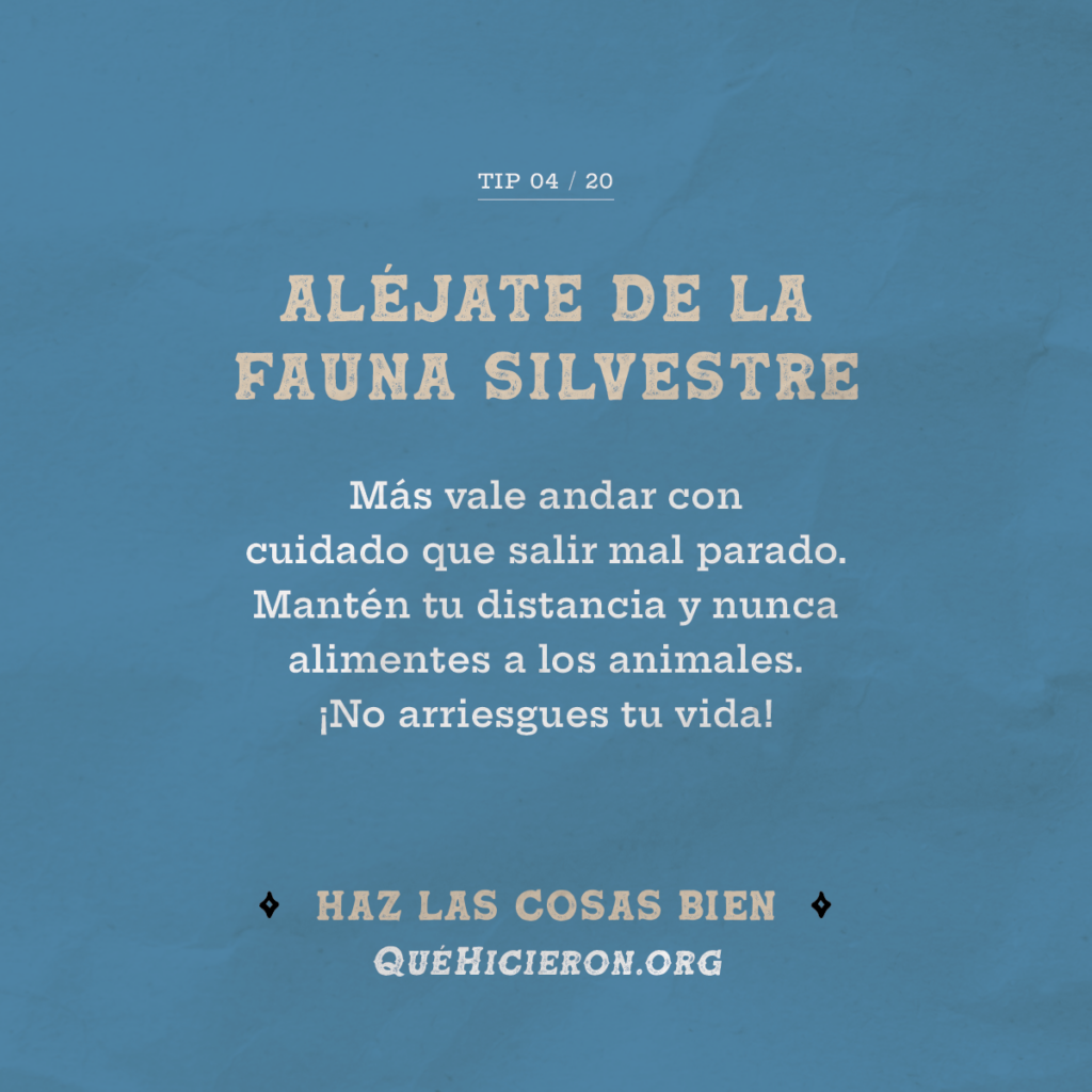 Mantenerse alejado de la vida silvestre