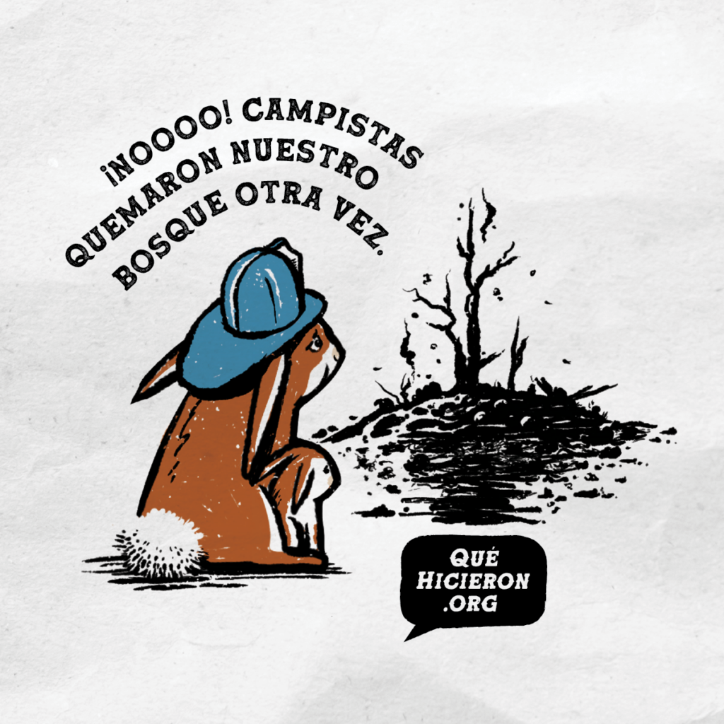 Apague completamente las fogatas