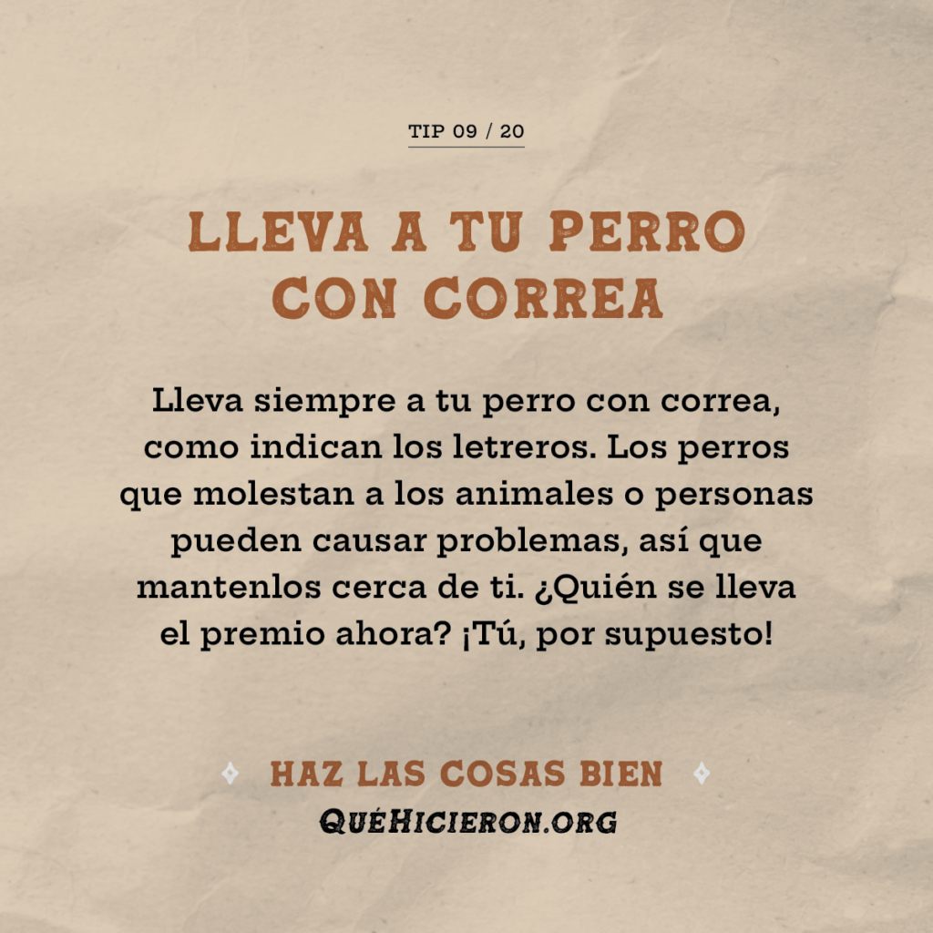 Mantenga a los perros atados