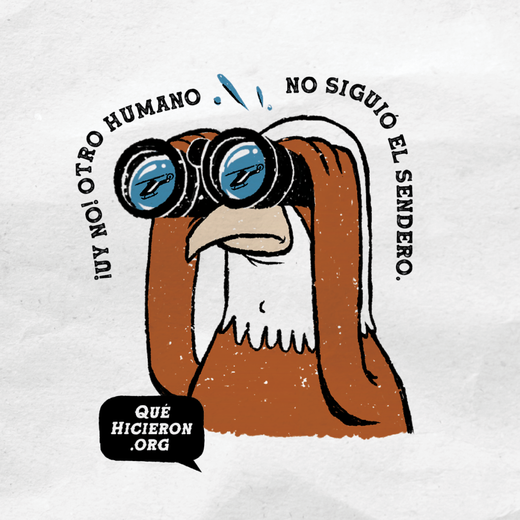 Manténgase en el camino