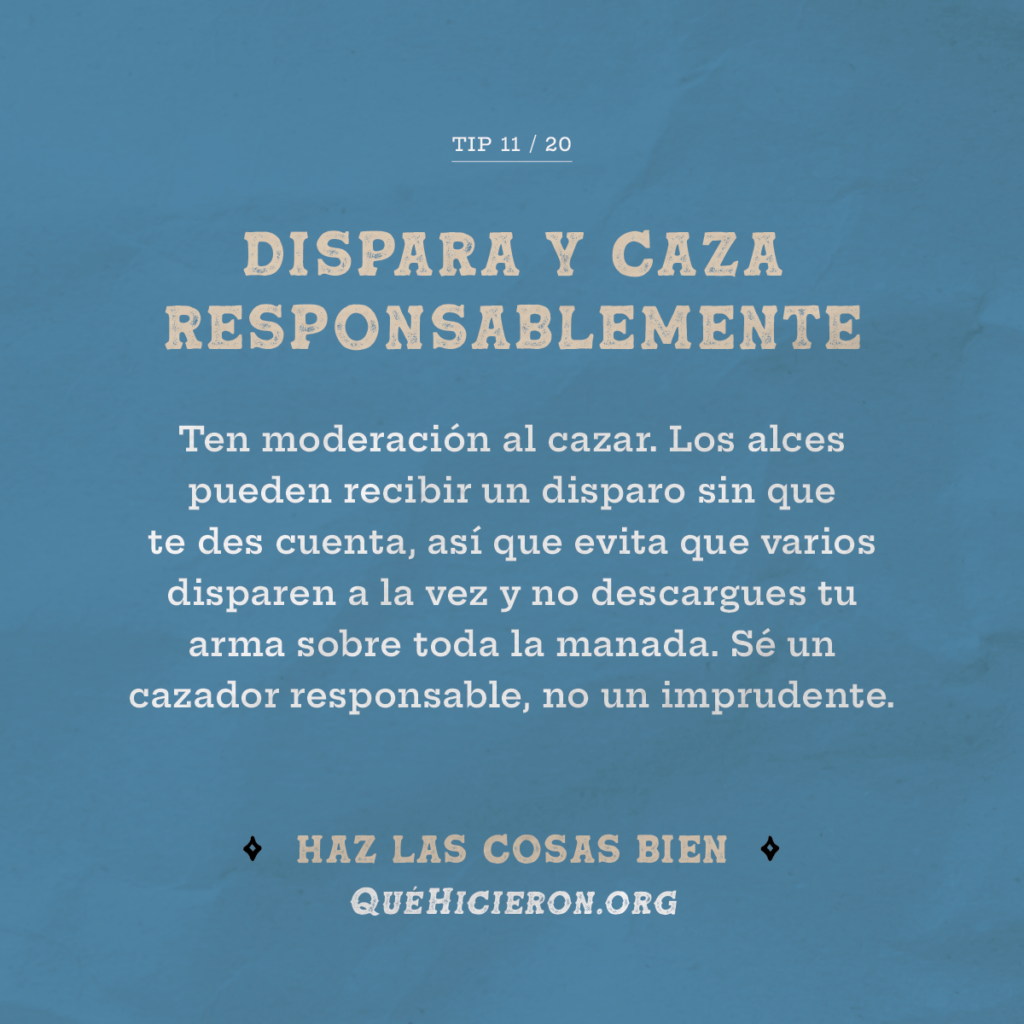 Dispara y caza de manera responsable