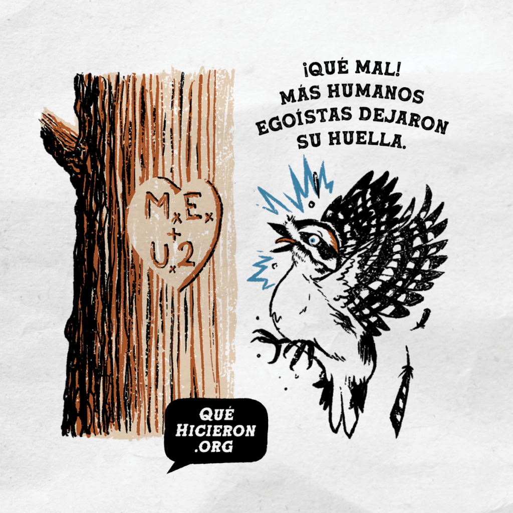 Mantén la naturaleza natural