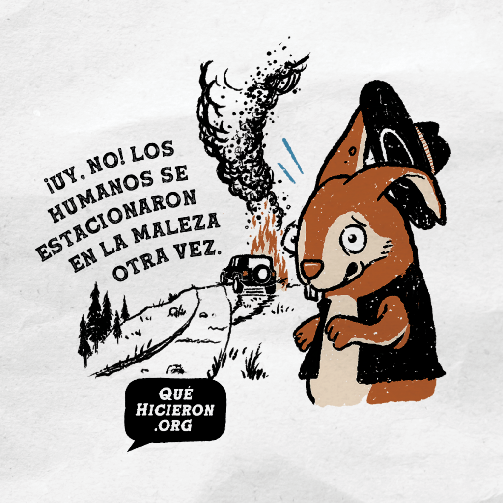 Estacione siempre sobre tierra