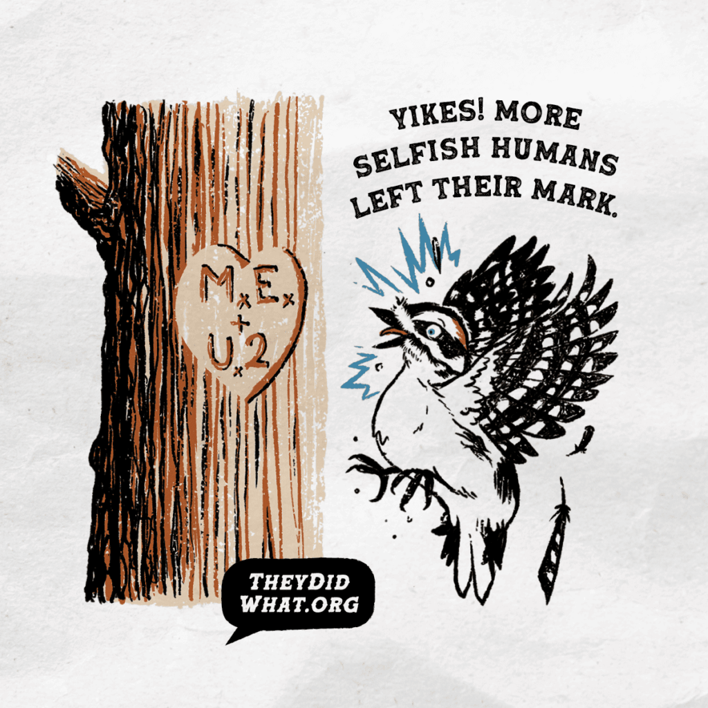 Keep Nature Natural